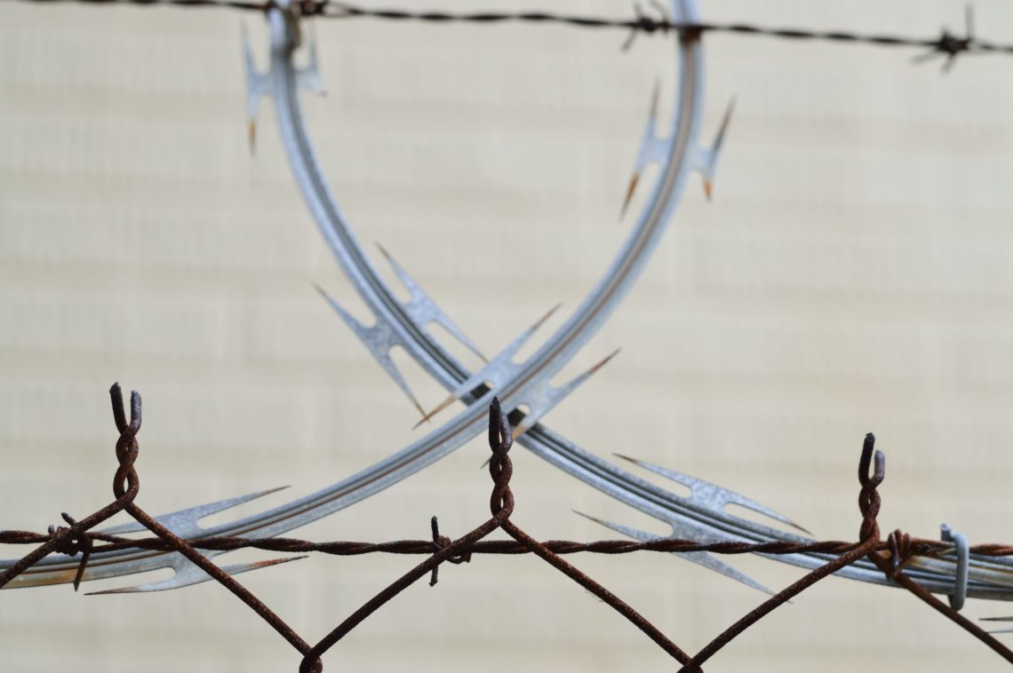 Photo by Miguel Á. Padriñán from Pexels