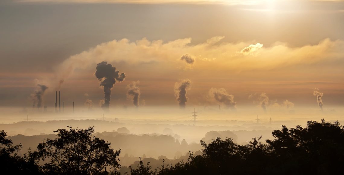 https://www.ecolife.zone/carbon-offsetting/