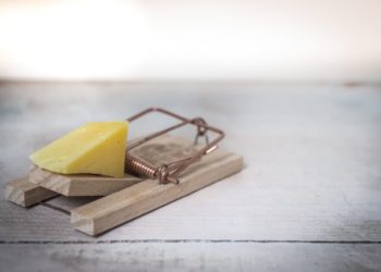 Photo by Skitterphoto from Pexels: https://www.pexels.com/photo/brown-wooden-mouse-trap-with-cheese-bait-on-top-633881/