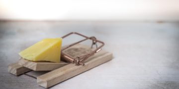 Photo by Skitterphoto from Pexels: https://www.pexels.com/photo/brown-wooden-mouse-trap-with-cheese-bait-on-top-633881/