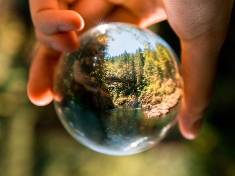 Photo by Arthur Ogleznev from Pexels: https://www.pexels.com/photo/person-holding-clear-glass-ball-1296265/