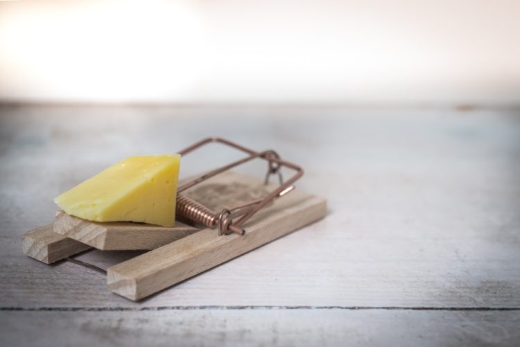 Photo by Skitterphoto: https://www.pexels.com/photo/brown-wooden-mouse-trap-with-cheese-bait-on-top-633881/