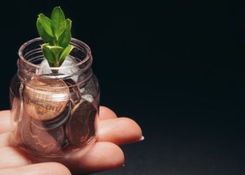 Photo by Kindel Media: https://www.pexels.com/photo/person-holding-clear-glass-jar-with-green-plant-6775160/