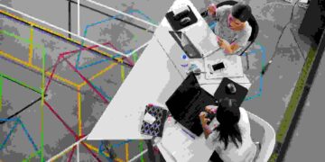 Photo by Visual Tag Mx: https://www.pexels.com/photo/two-women-sitting-in-chairs-using-laptop-computers-2566573/