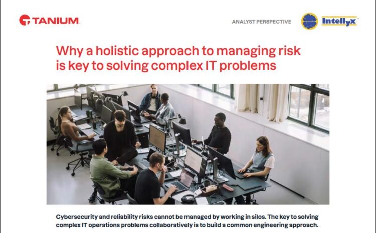 Managing risk is key to solving complex IT problems