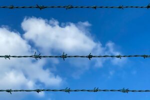 Photo by Aleksandar Pasaric from Pexels: https://www.pexels.com/photo/photo-of-barbed-wires-3370580/