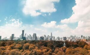 Photo by jimmy teoh: https://www.pexels.com/photo/brown-trees-under-white-and-blue-cloudy-sky-2411747/