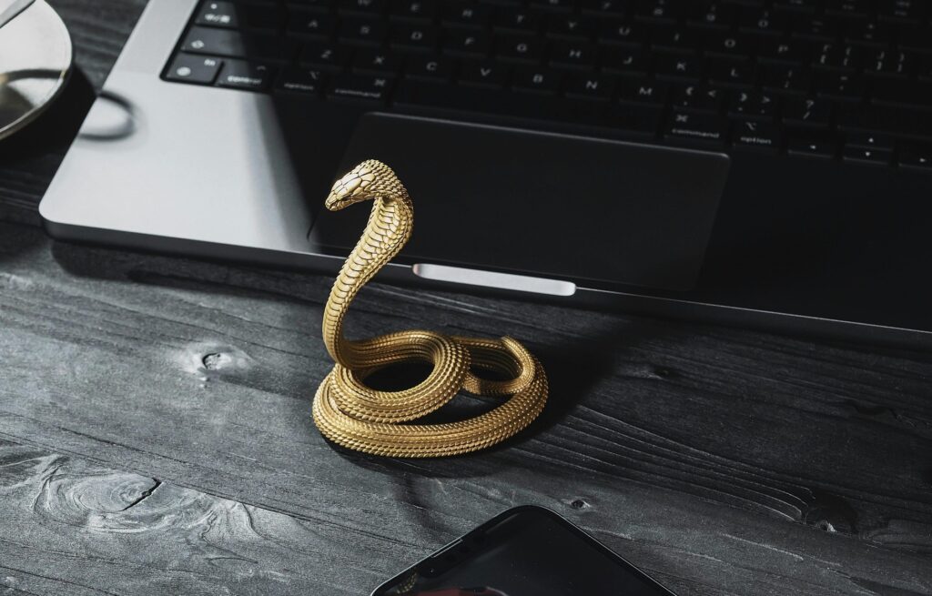 Photo by COPPERTIST WU from Pexels: https://www.pexels.com/photo/a-handmade-golden-cobra-phone-stand-standing-next-to-a-laptop-and-smartphone-15979673/