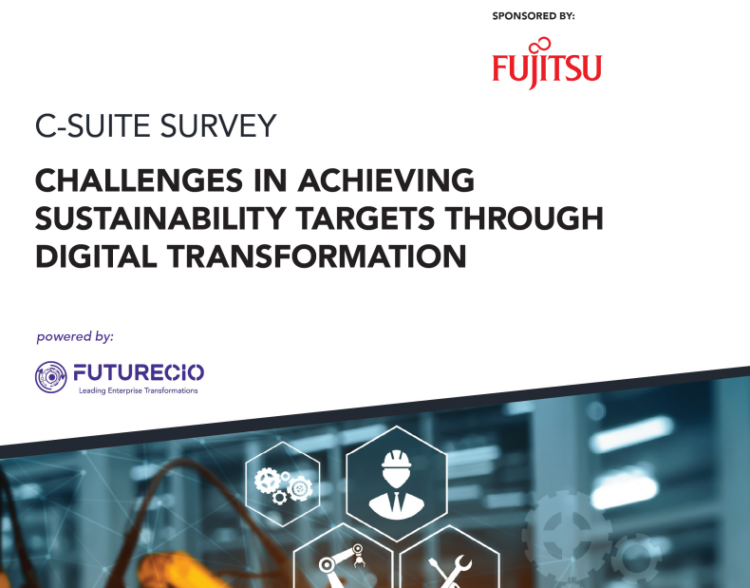 Challenges in achieving sustainability targets through digital transformation