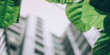 Photo by Arun Thomas: https://www.pexels.com/photo/shallow-focus-photo-of-leaves-1143530/