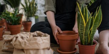 Photo by cottonbro studio: https://www.pexels.com/photo/person-in-gray-t-shirt-and-blue-denim-jeans-sitting-on-brown-clay-pot-4505171/
