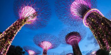 pexels-lynde-2123295-3939421