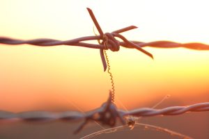 Photo by Roger Brown: https://www.pexels.com/photo/close-up-of-barbed-wire-fence-5630424/
